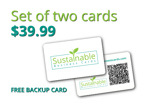 Set of Two Cards $39.99 Free backup card